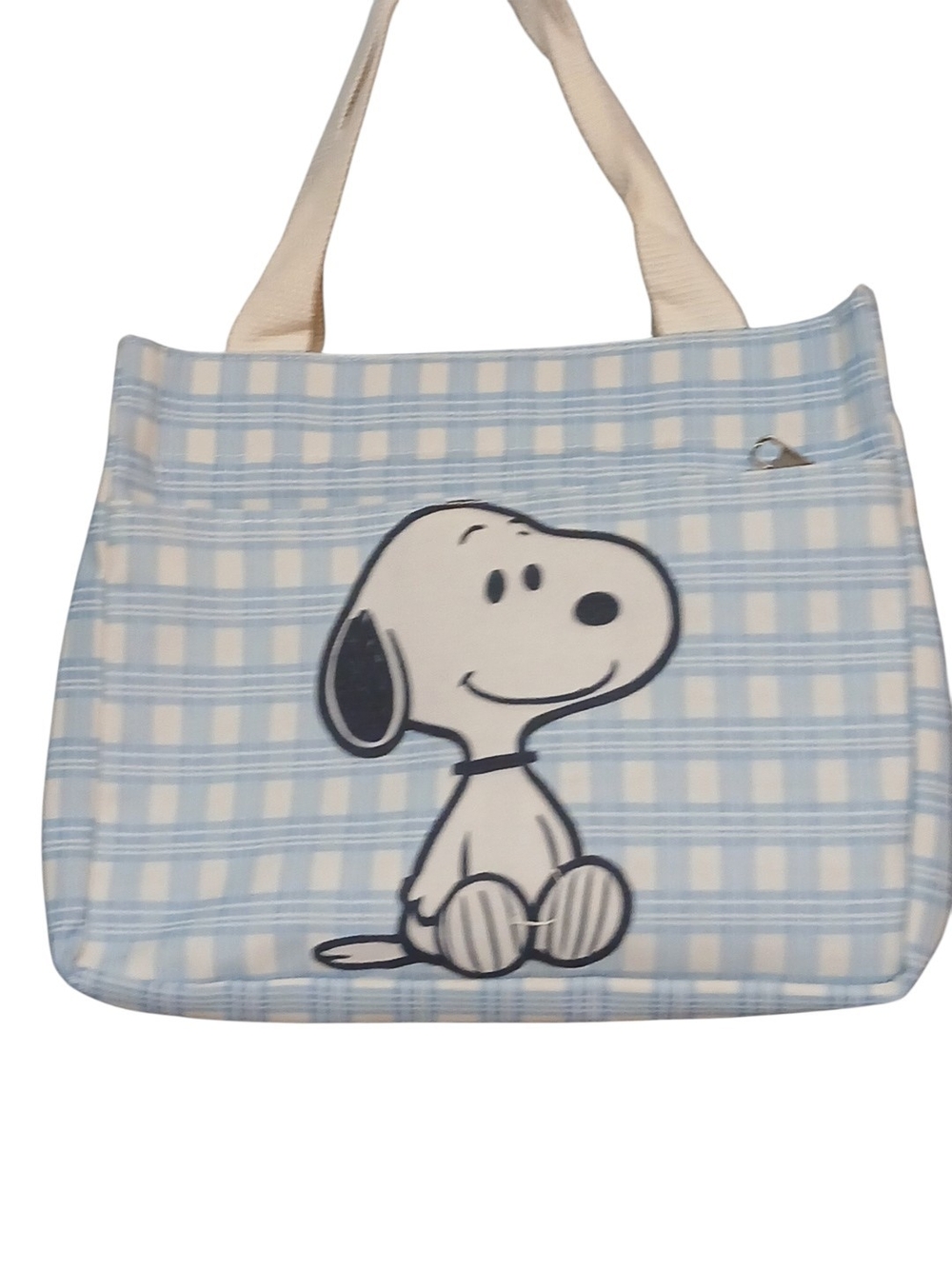 Peanuts -ECO Friendly Blue White Checkered Canvas Tote Bag.Zippered Front Pocket